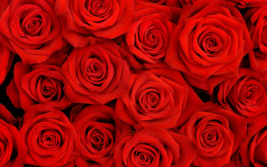 501791 (a): :2560x1600